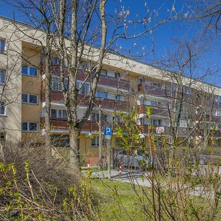 Rent Like - łukaszówki * Zakopane