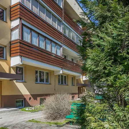 Rent Like - łukaszówki * Zakopane